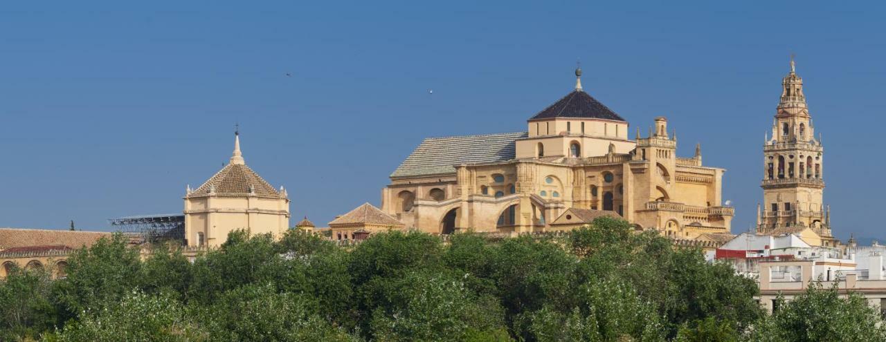 דירות Casa Luz קורדובה מראה חיצוני תמונה